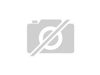 Biewer Yorkshire Terriergeboren am 11. 10. 2021